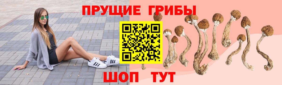 Галлюциногенные грибы Cubensis Янаул